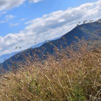 เสียงต้นฉบับ - Dang Dang