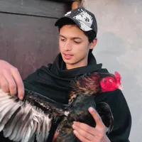 original sound - tayyab_official_000