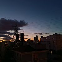 dilara.elik82