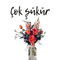 6nur1