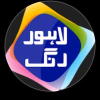 user913619862