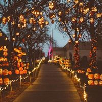 halloweenoutfits1