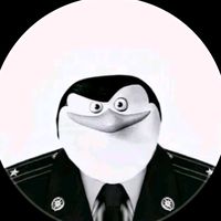 mister_skiper1