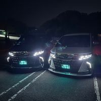 _335933