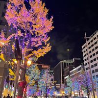 オリジナル楽曲 - ゆー🌙.°文字素材