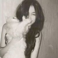 l6iiil