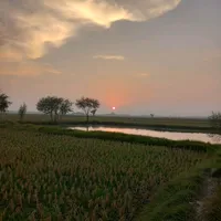 original sound - shining.stars_06