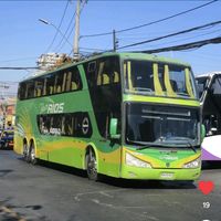 soy.adicto.de.los.buses
