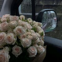 alaaahmed2708