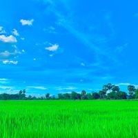 សំឡេងដើម - 🍂____Ly——🍂