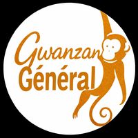 gwanzan381