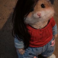 teffyaguirre8