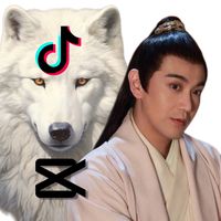 alonelywolf_0zhangzhiyao