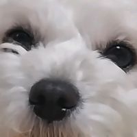 seeyoenz