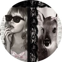 nocturnesquefawn