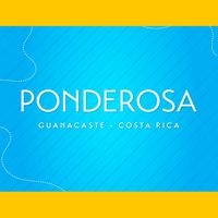 ponderosa.adventure.park