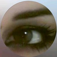 warda.lebanes234