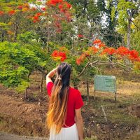 krisha_235