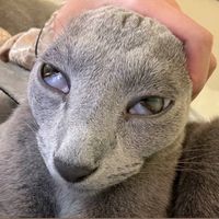 original sound - AVOSE // RY editzzz