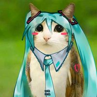 meow257