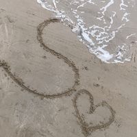user__91551
