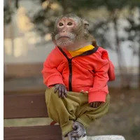 original sound - samara_monkey_t.me
