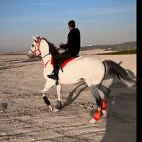 original sound - o._m35