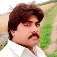 alihaidermagsi306
