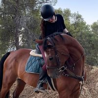 tolay_zoube