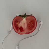 aopeuoucoroxanuourezr