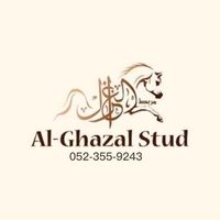 aliabuzahra09