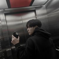 netiphxm