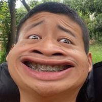 kungavee