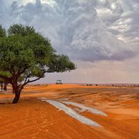 الصوت الأصلي