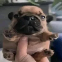 original sound - o.jxckkkk