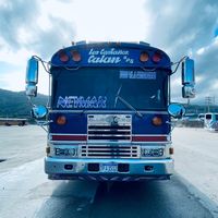 buseshn19
