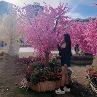 nhạc nền - NguyenHuyen_041094