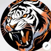 the.tigerspx