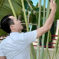 nhạc nền - NghiepD600