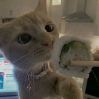 suara asli - ʚbinaɞ