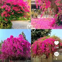 user0770350487