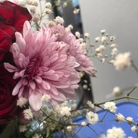 userfg_522