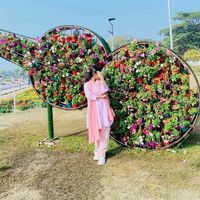 picchi_queen.is