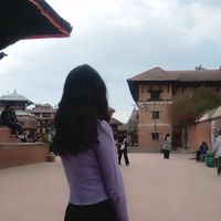 parii0515