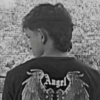 pavijoker3