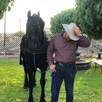 joseltorres03