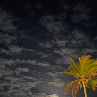 original sound - bodhell04