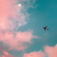 original sound - nightingale.lyrics