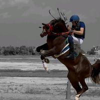rowed_jamal
