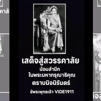 vide1911